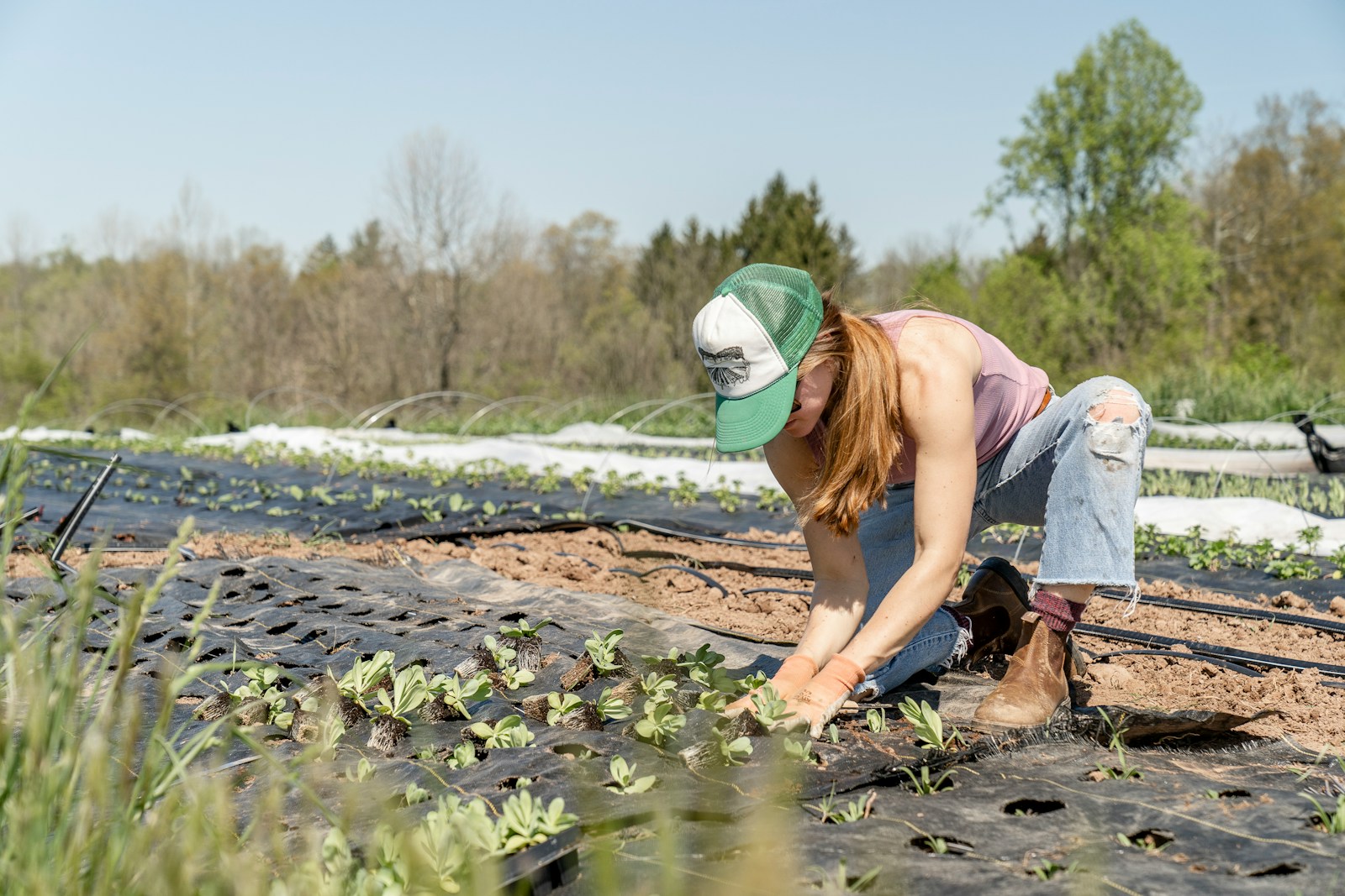 Regenerative Agriculture’s Promise for the Future