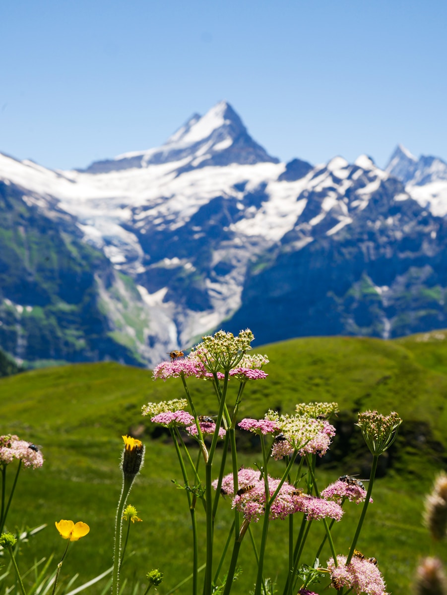A First-Timer’s Guide to National Parks