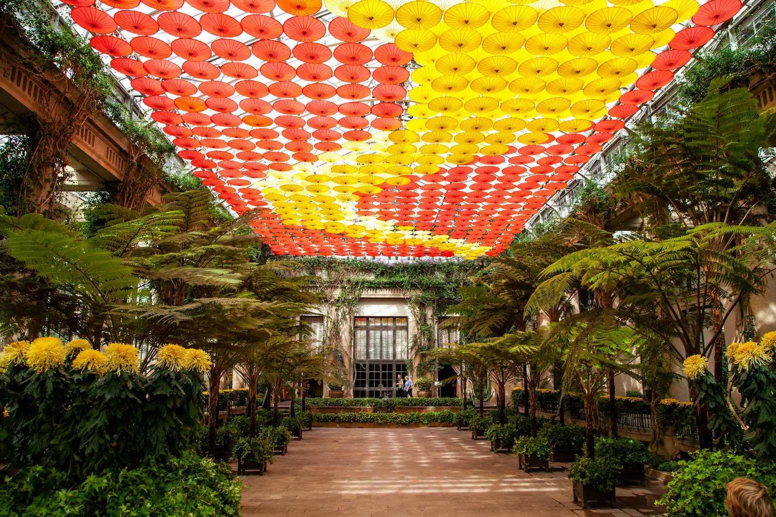 Top Botanical Gardens to Visit in the Southeast