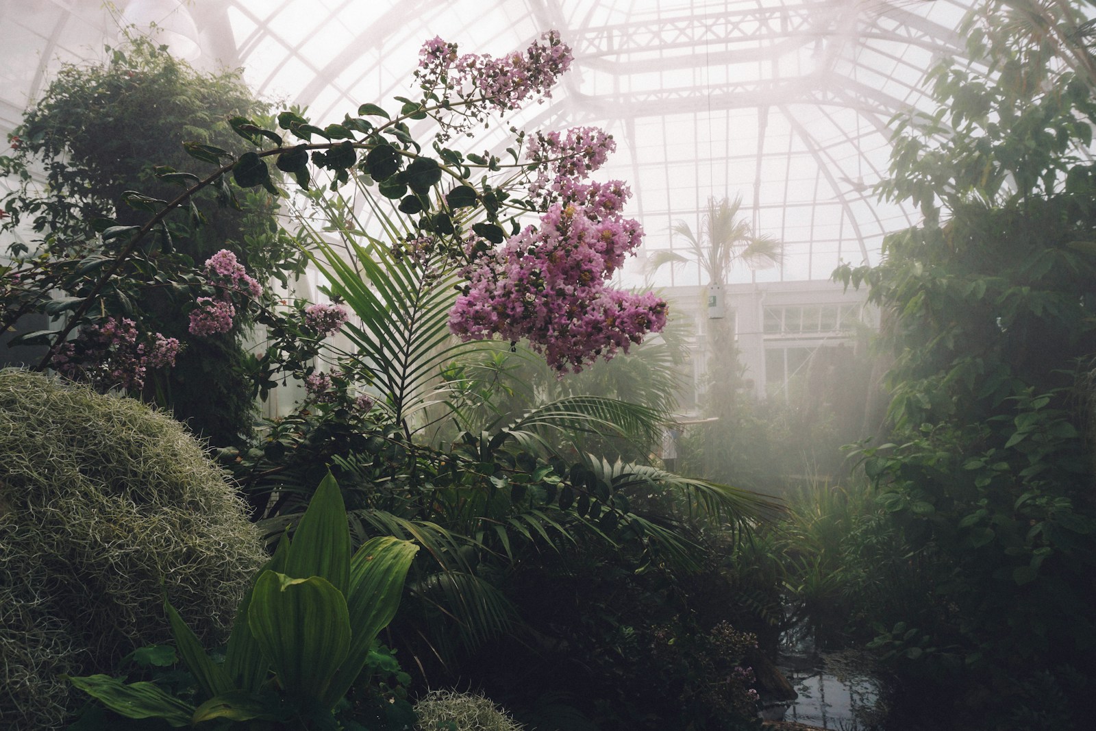 Top Greenhouse Tech Tools for Nursery Owners
