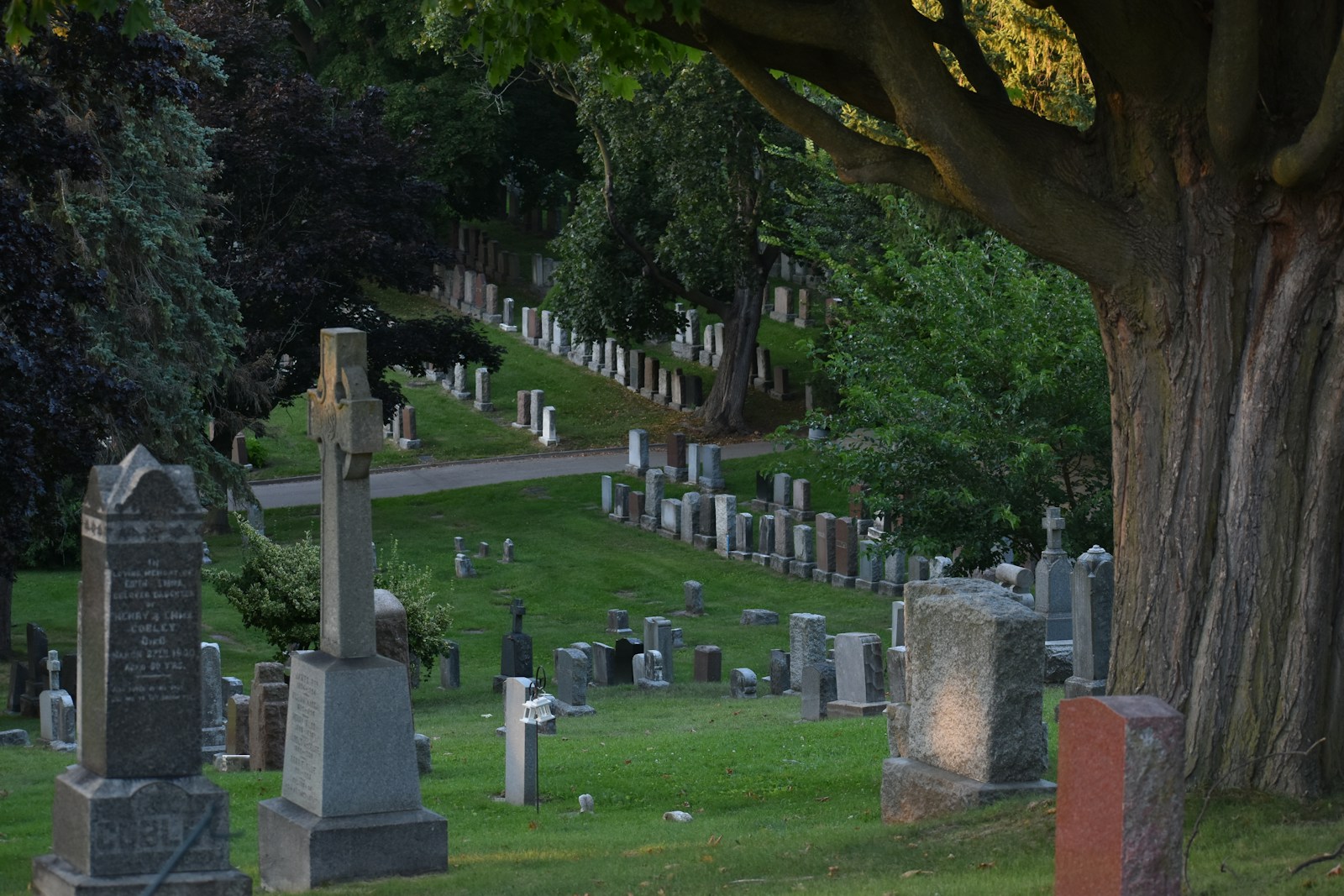 How Punk Rock and Cemeteries Found Harmony at Laurel Hill