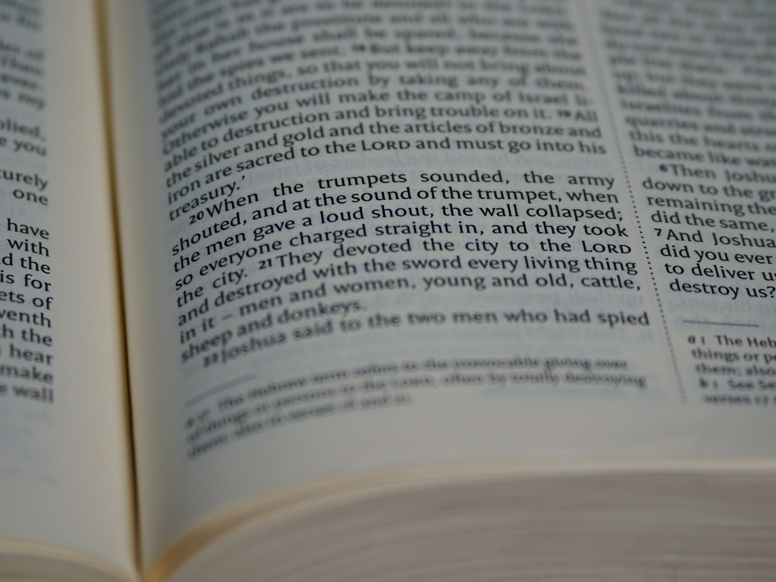 Geniva: Exploring the Meaning, Uses, and Connections of a Unique Word