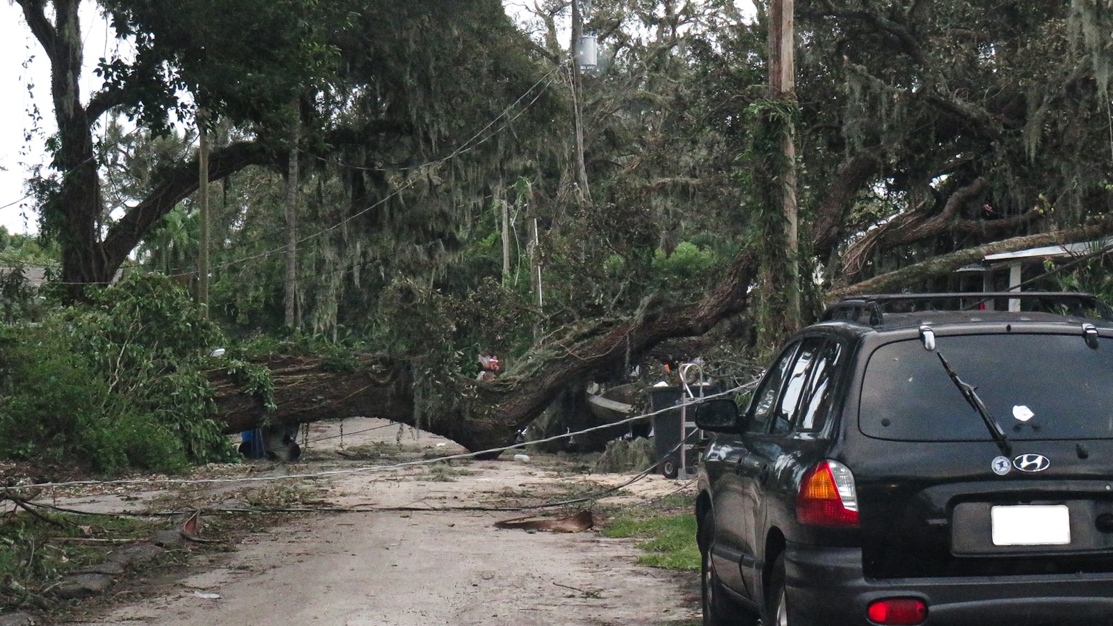 Huracanes en Florida: Entendiendo la Fuerza, la Historia y la Preparación