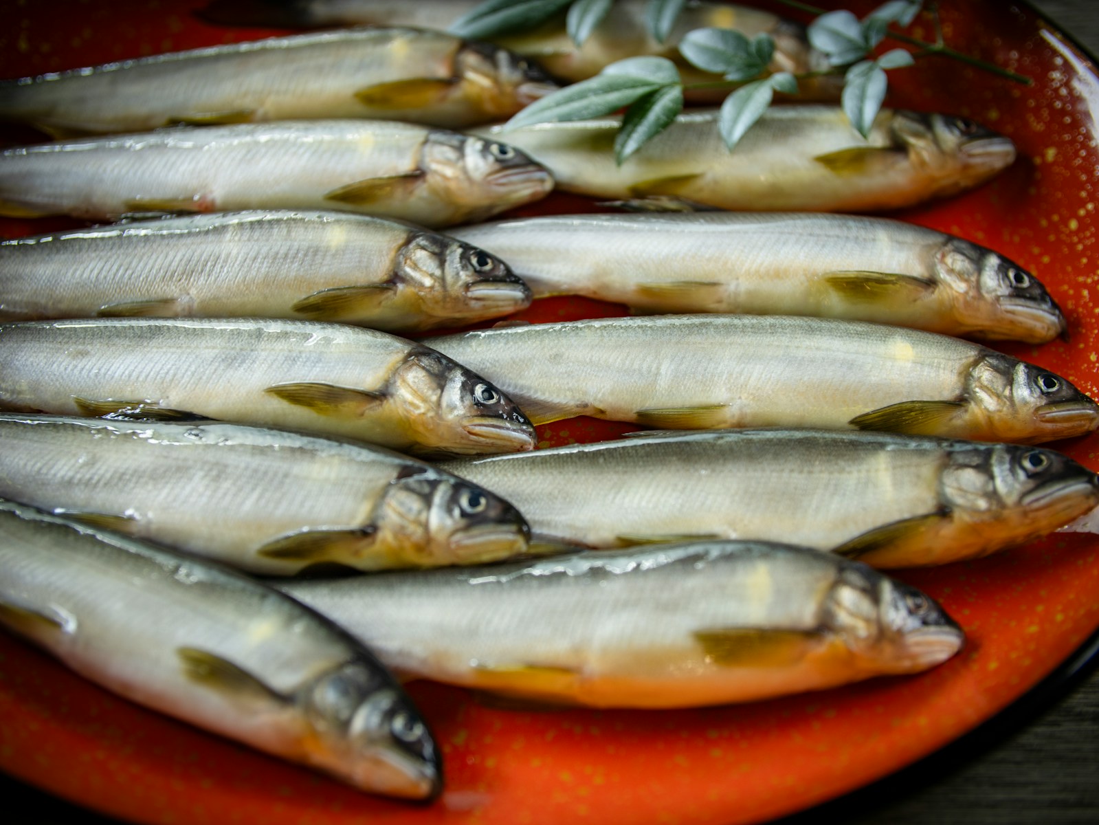 Xouba: The Little Galician Sardine Finding A Home In American Kitchens