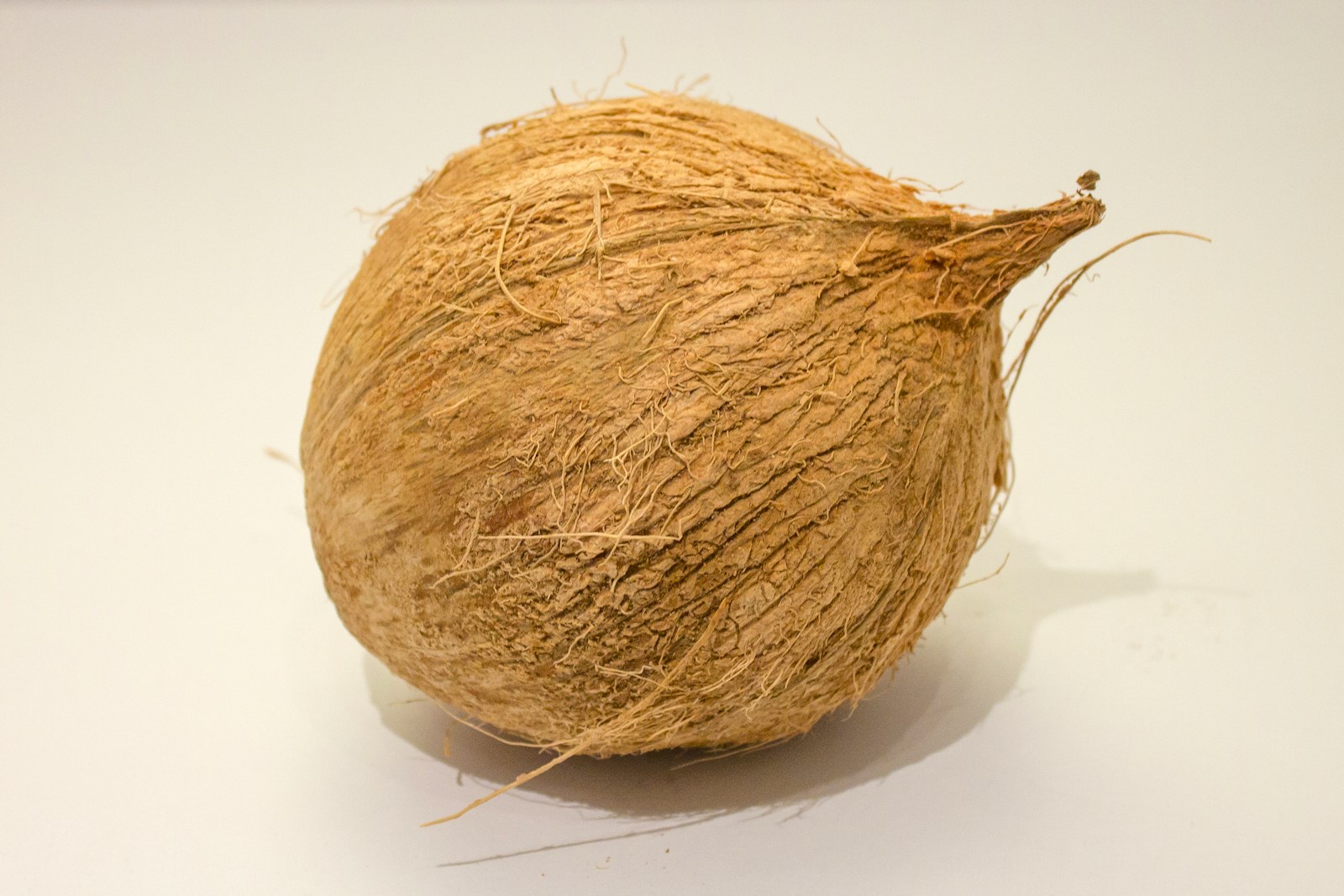 Coconut Coir 101