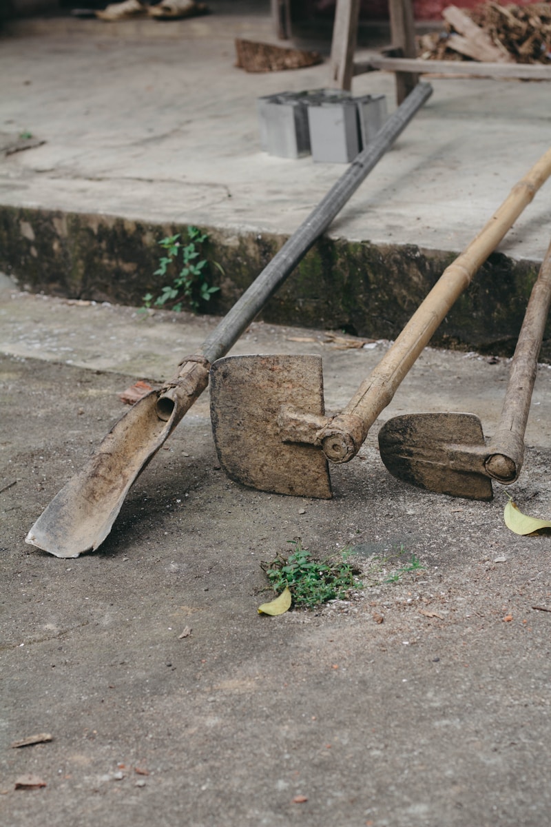 The Gardening Hoe: A Simple Tool With Quiet PowerThe Gardening Hoe: A Simple Tool With Quiet PowerThe Gardening Hoe: A Simple Tool With Quiet Power