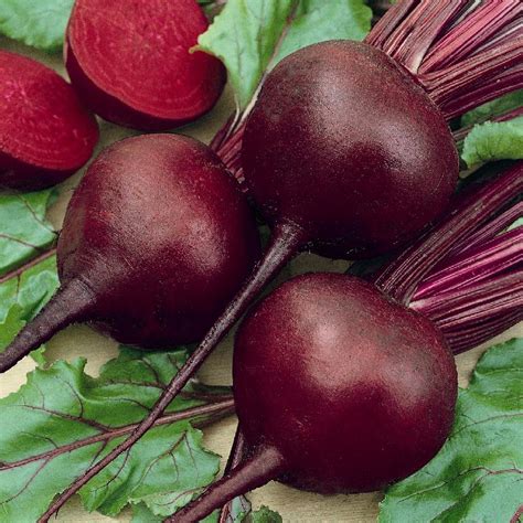 Detroit Dark Red Beet Seeds: A True American Classic