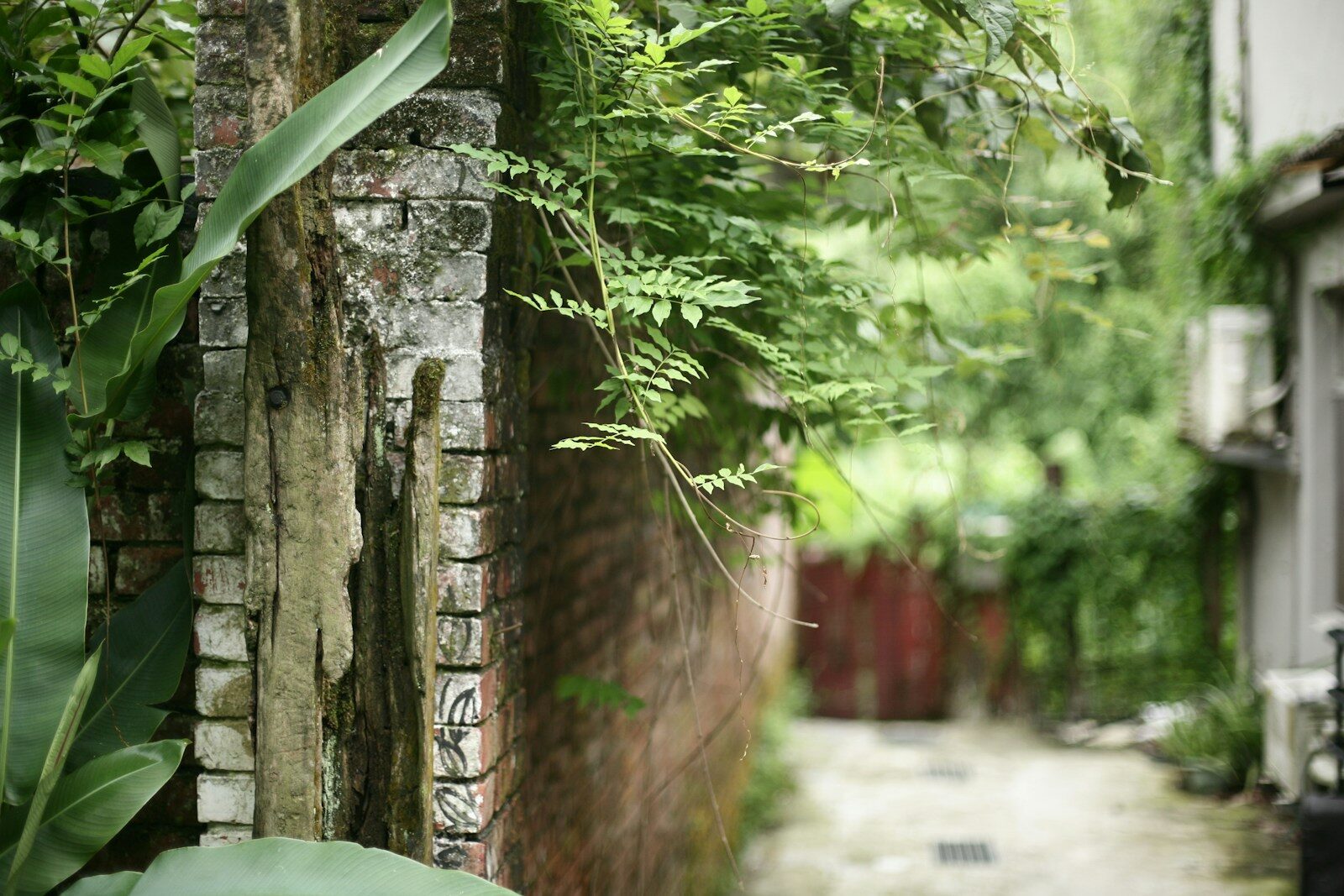 Chuong Garden Grinnell: What to Know Before You Go