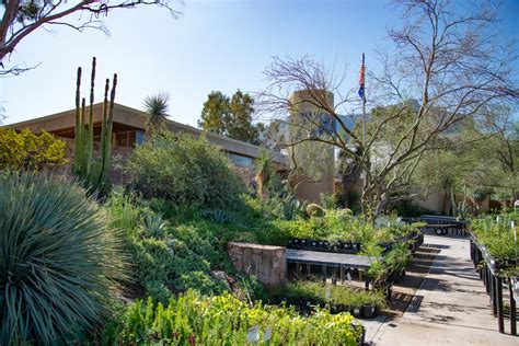 Best Botanical Gardens in Arizona for a Slow, Beautiful Day Out