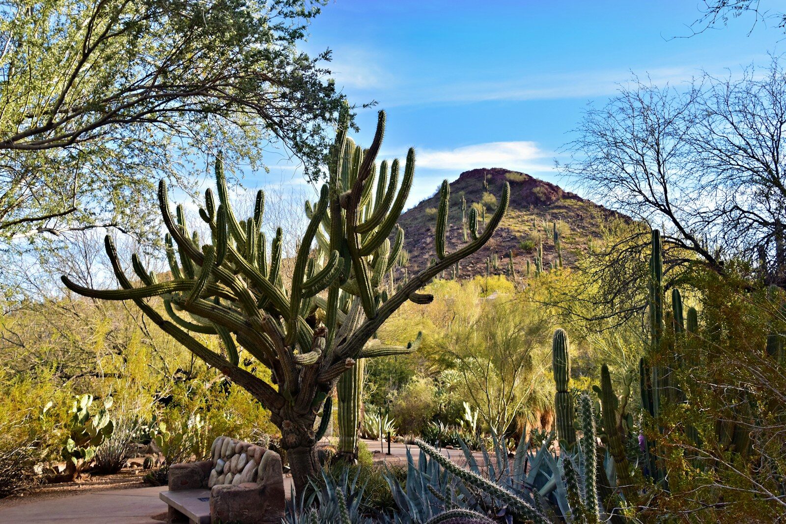 Best Weekend Trips From Phoenix for Gardeners, Food Lovers, and Curious Travelers