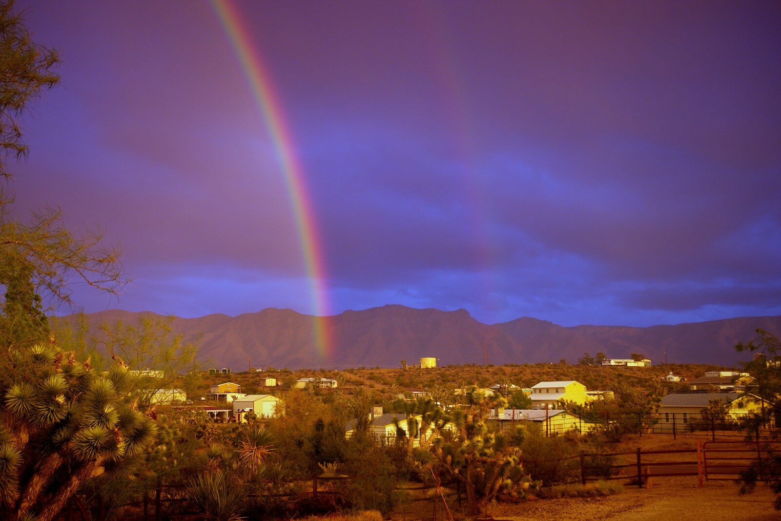 How Arizona Monsoon Season Works and How to Prepare Your Home