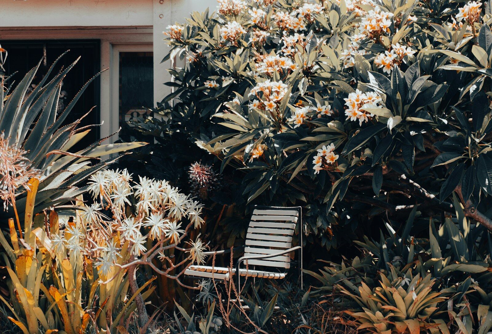 The Wild Garden Trend Is Here: How to Let Your Yard Grow Without Letting It Go