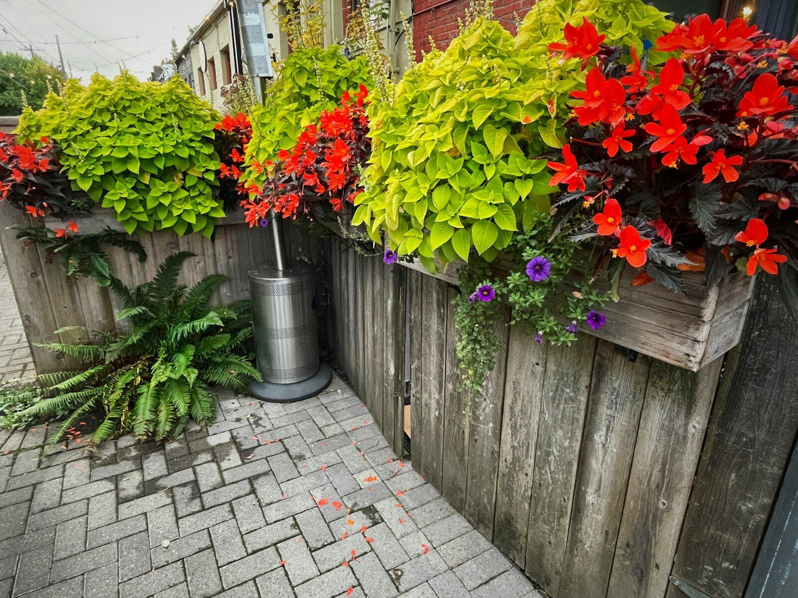 How to Build Garden Boxes