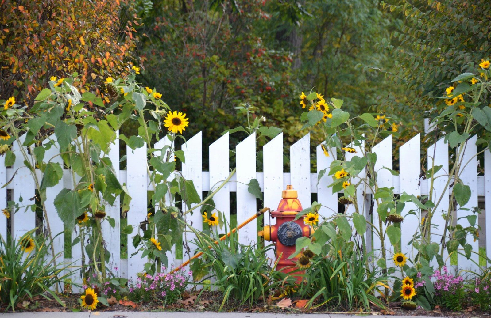 How To Build A Garden Fence To Keep Animals Out