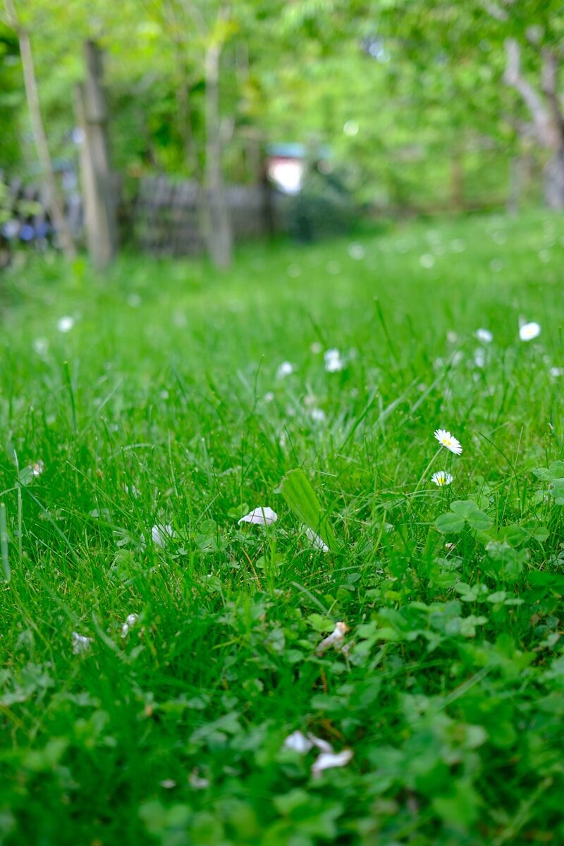 How To Remove Grass For A Garden Without Making A Bigger Mess