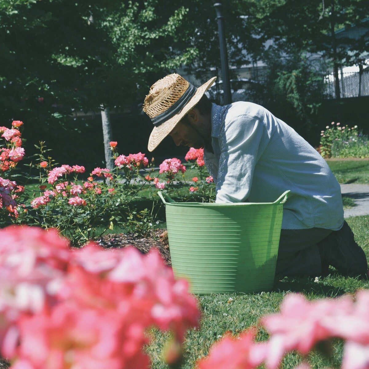 How To Make A Flower Garden
