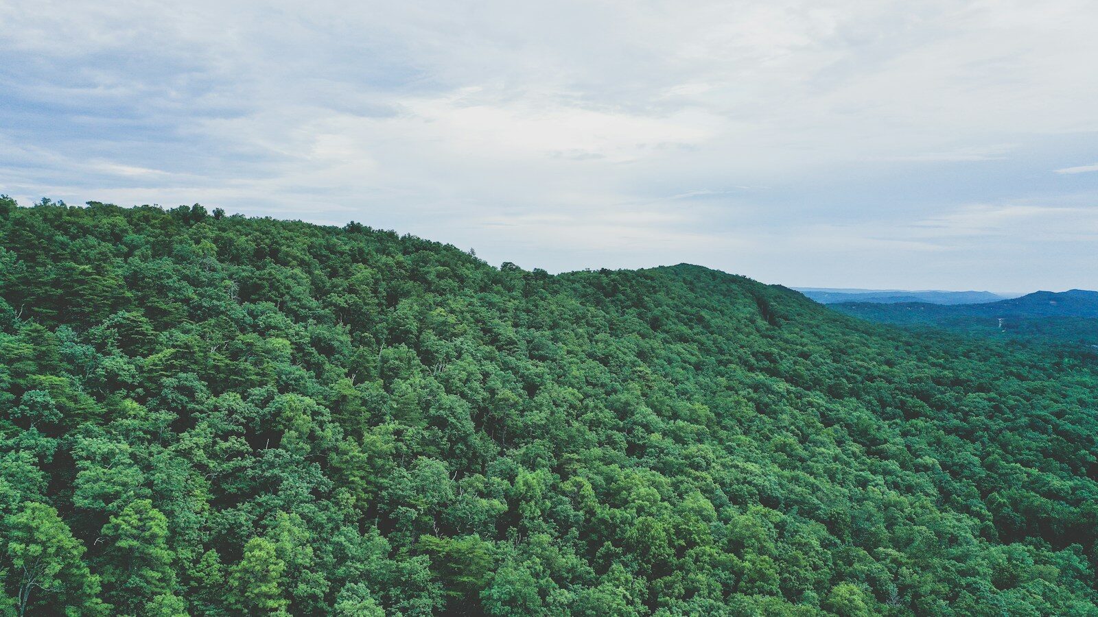 Are There Mountains in Alabama? Where to Find the State’s Highest and Most Scenic Peaks